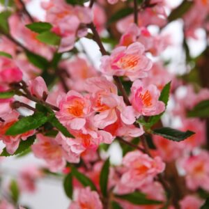 STB069TC ARBOL CEREZO ARTIFICIAL 175CM