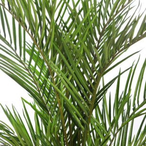 STB101TBB PALMERA ARTIFICIAL 150 CM