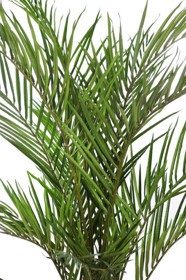 STB101TBB PALMERA ARTIFICIAL 150 CM