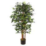 STB196TA ÁRBOL FICUS ANCHO CON MACETA 150 CM 1