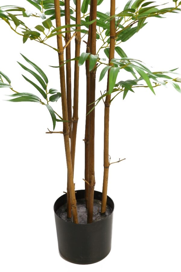 STKD2502 ARBOL DE BAMBU CON TRATAMIENTO UV 180 CM