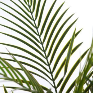 STKD5820 PALMERA ARECA ARTIFICIAL 95 CM