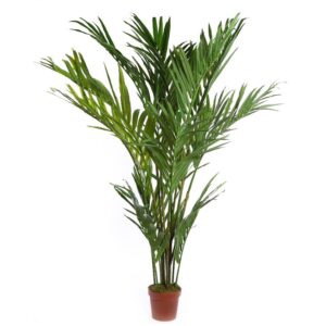 STKD9019 PALMERA ARECA ARTIFICIAL EN MACETA 205 CM