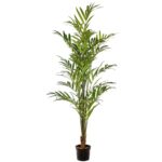 STKD9279 PALMERA KENTIA ARTIFICIAL 210 CM