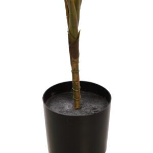 STKD9289 PALMERA ARECA ARTIFICIAL 80 CM