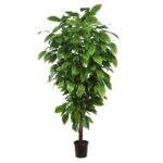 STY0425X24 ARBOL ARTIFICIAL MANGO HOJA ANCHA 185 CM 1