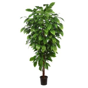 STY0425X24 ARBOL ARTIFICIAL MANGO HOJA ANCHA 185 CM 1