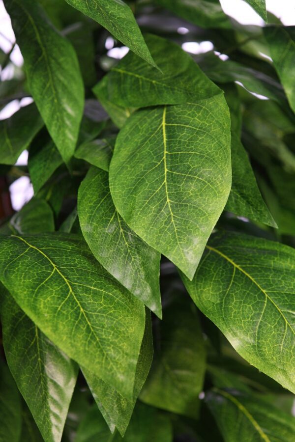 STY0425X24 ARBOL ARTIFICIAL MANGO HOJA ANCHA 185 CM