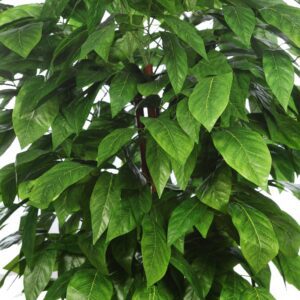 STY0425X24 ARBOL ARTIFICIAL MANGO HOJA ANCHA 185 CM