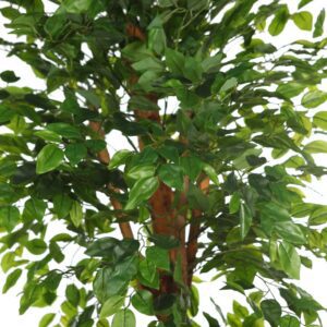 STY0742 ARBOL DE FICUS VERDE ARTIFICIAL 180 CM