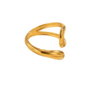 anillo 017