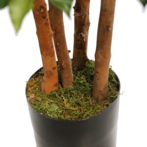 ARBOL FICUS ANCHO CON MACETA 150 CM